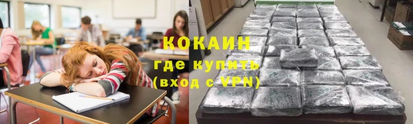 прущие крисы Вяземский